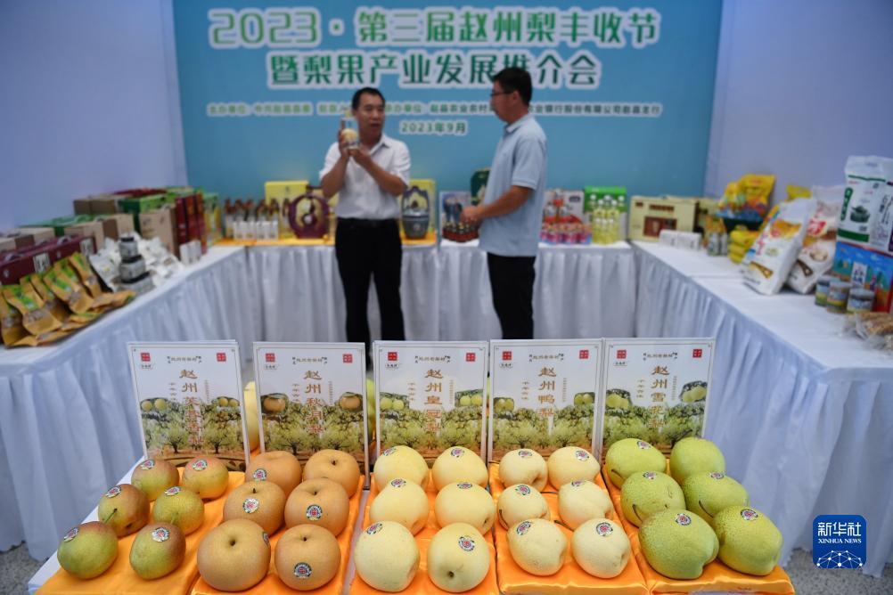 巴黎人提现失败